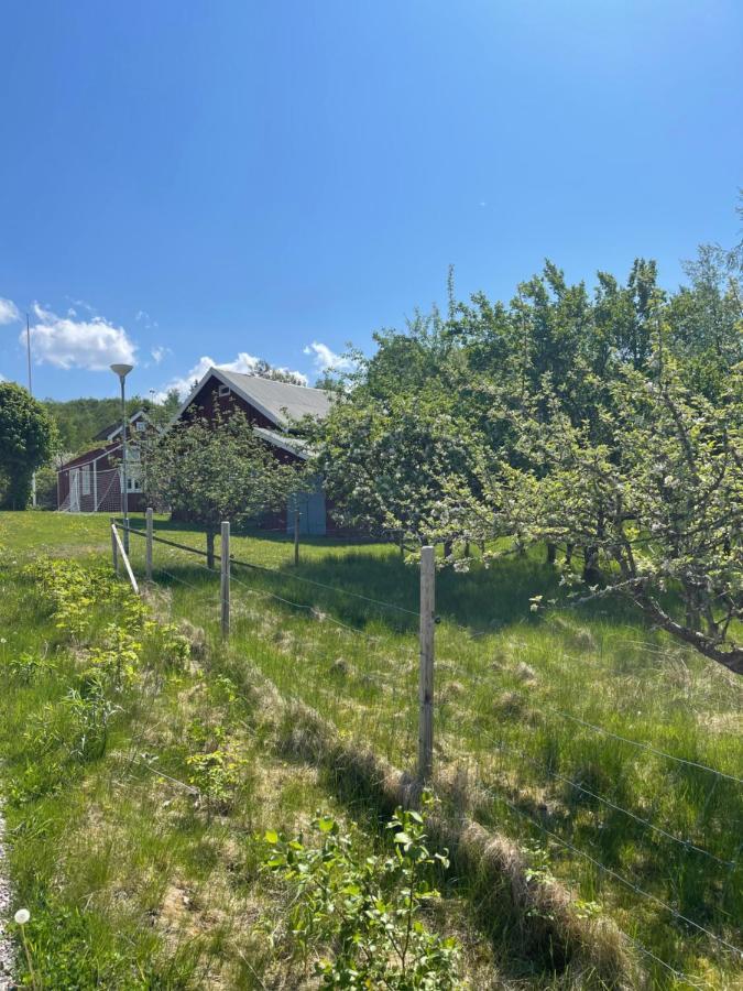 Lyckan - Minihus I Lantlig Miljoe Ulricehamn Ngoại thất bức ảnh